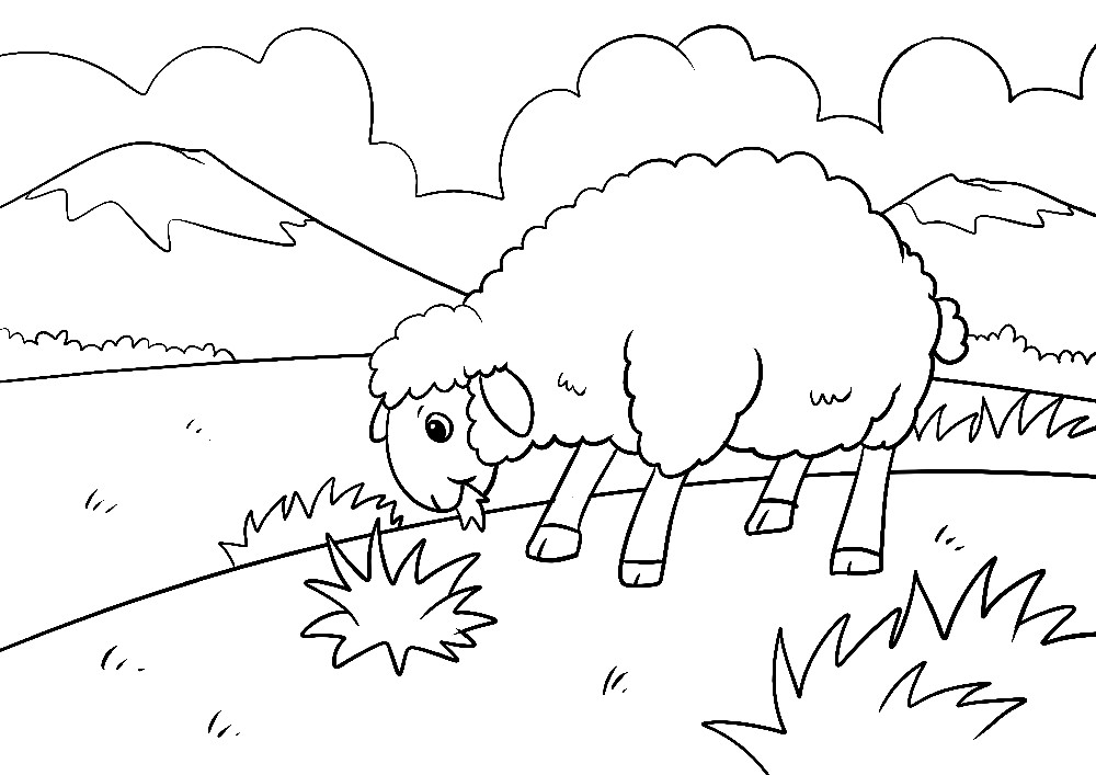 Ausmalbilder Weihnachten - Ein süßes kleines Schaf auf einer Weide