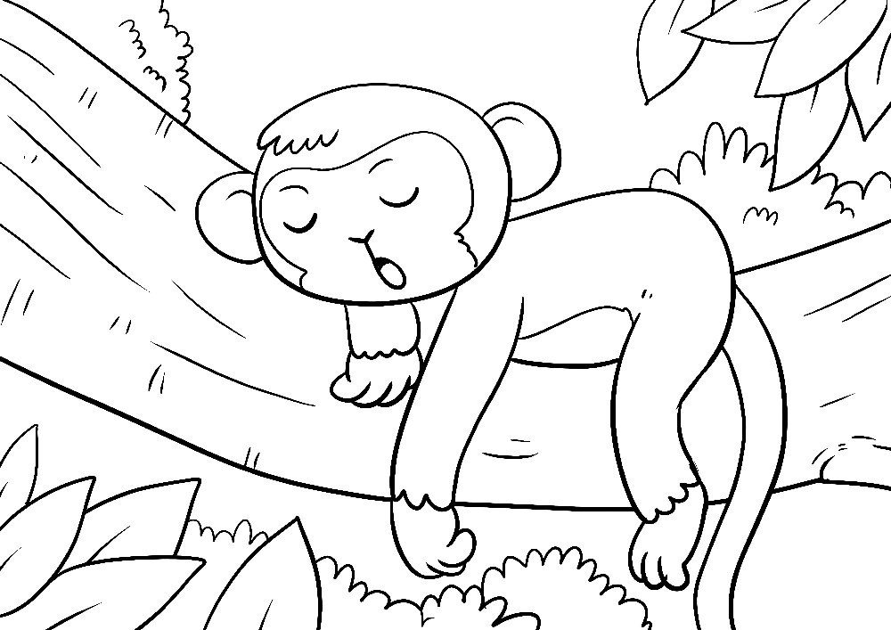 Ausmalbilder Tiere - Ein kleiner Affe schläft im Dschungel