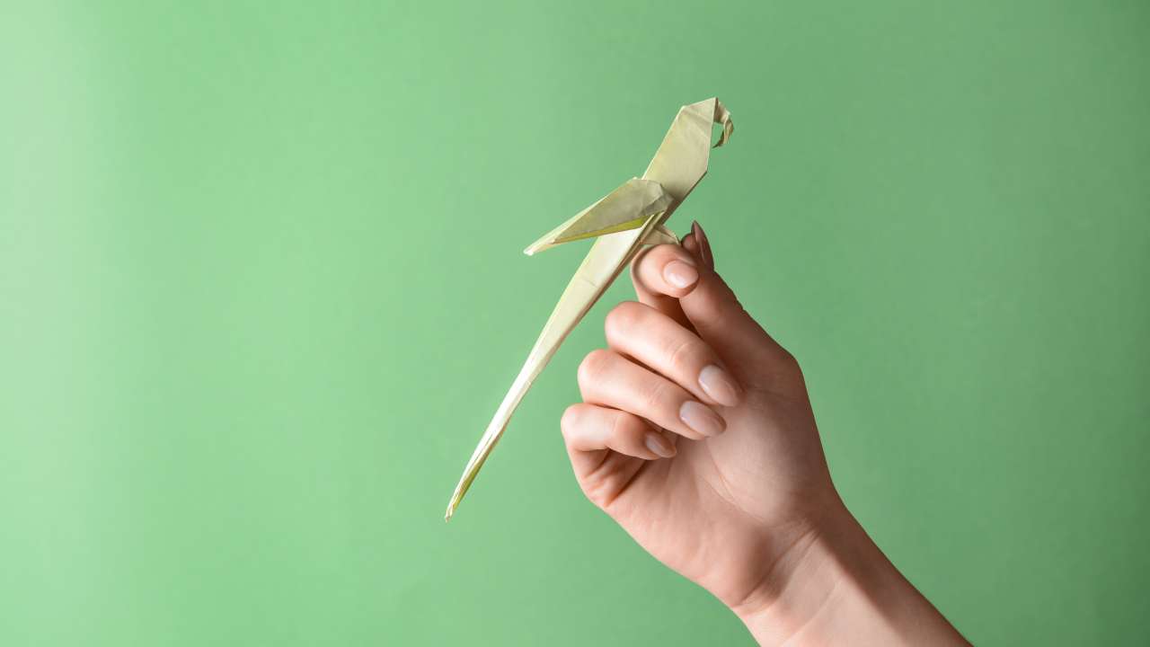 Origami Papagei Falten Nur 7 Minuten Dauer Origami Vogel