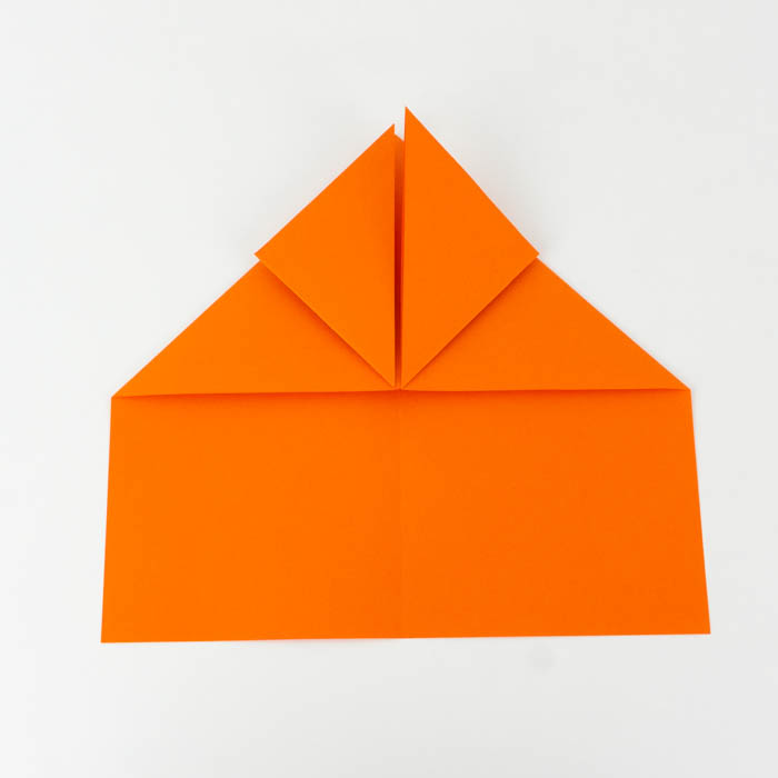 Fold a paper airplane - hawk